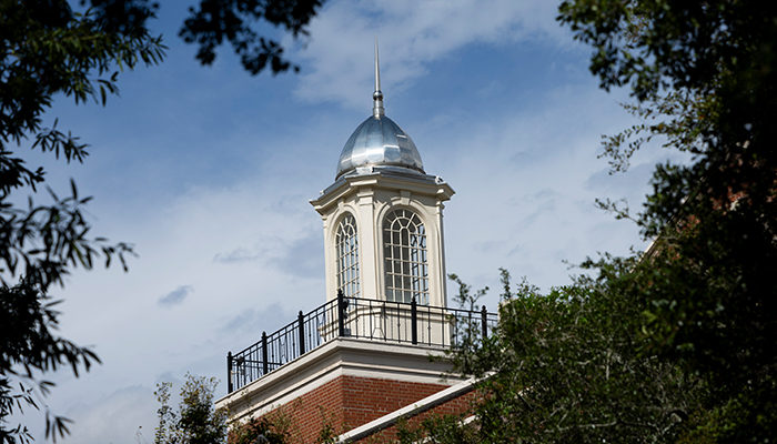 Program Image