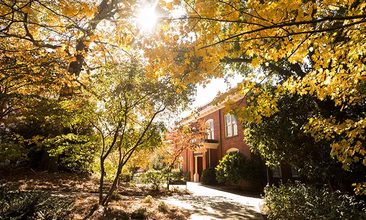Institute of Higher Education Image